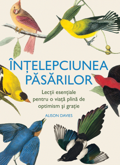 Intelepciunea pasarilor