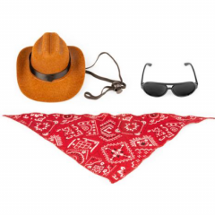 Set costum pentru pisici de petrecere - Cowboy