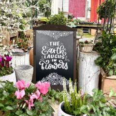 Marker - Schneider Deco - Maxx 265