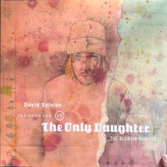 The Good Son vs. The Only Daughter (The Blemish Remixes) - Vinyl