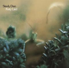 Katy Lied - Vinyl