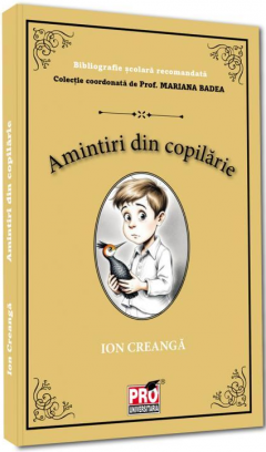 Amintiri din copilarie