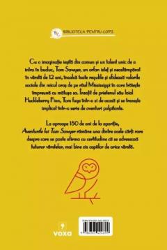 Aventurile lui Tom Sawyer
