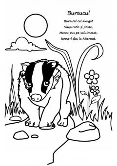 Haideti sa coloram - Animale