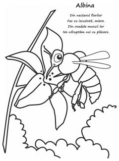 Haideti sa coloram - Animale