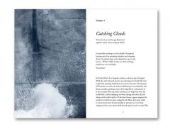 Blind Folly or How Tacita Dean Draws