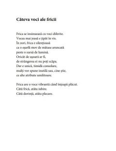 O bucata de zi in mijlocul noptii