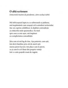 O bucata de zi in mijlocul noptii