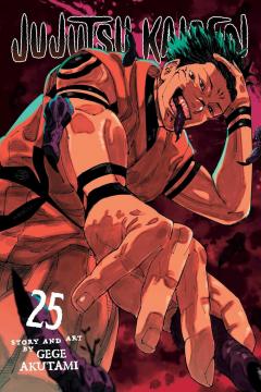 Jujutsu Kaisen - Volume 25