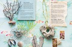 A Curiosity of Folklore, Magic and Spells