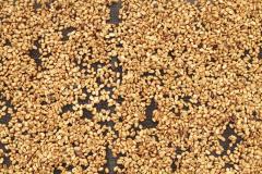 Cafea boabe - Indonezia Koerintji Barokah Bersama Anaerobic Honey, 250 g