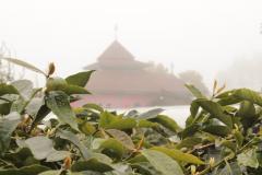 Cafea boabe - Indonezia Koerintji Barokah Bersama Anaerobic Honey, 250 g