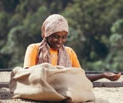 Cafea boabe - Etiopia Ayla Natural, 250g