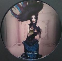 Evermore Darkly... - Vinyl