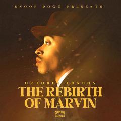 The Rebirth Of Marvin - Vinyl