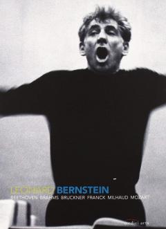 Leonard Bernstein - Anniversary Box (5DVDs)