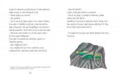 Micul Dragon Coconut si marele vrajitor