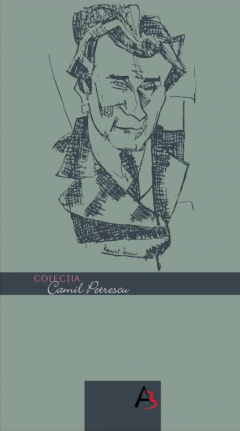 Divortul doamnei Dudu