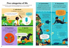 Ecology for Beginners