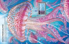 Build Your Own Sea Creatures