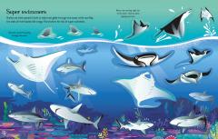 First Sticker Book Sharks and Rays