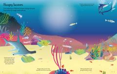 First Sticker Book Sharks and Rays