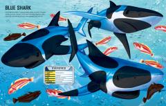 Build Your Own Sharks