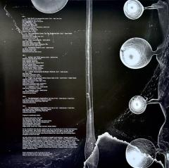 Camphor II - White Vinyl