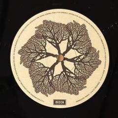 Burning Moonlight - Vinyl