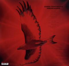 Arborescence - Vinyl