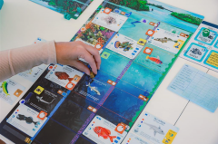 Joc de societate - Finspan (EN)