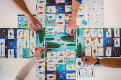 Joc de societate - Finspan (EN)