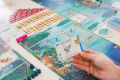 Joc de societate - Finspan (EN)