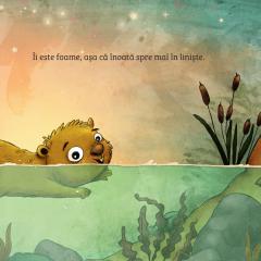 Invat despre natura - Castorul