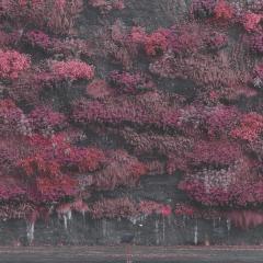 Even In Arcadia - Vinyl