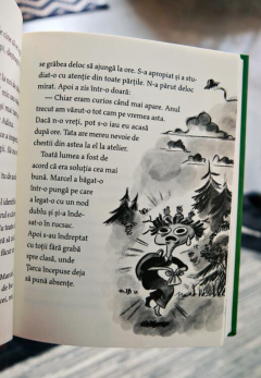 Povestiri de citit pe sub banca