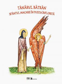Tanarul batran. Sfantul Macarie in pustia inflorita