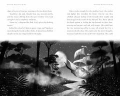 The Forest in the Sky