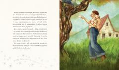 Baiatul care si-a pierdut scanteia