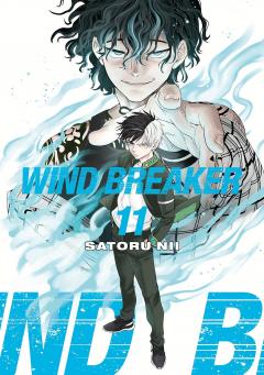 Wind Breaker - Volume 11