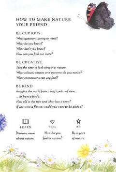 A Field Guide to Summer