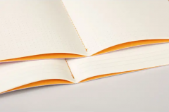 Carnet A5 - Rhodia - Sapphire Blue