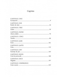 Bastarda Istanbulului