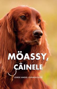 Moassy, cainele