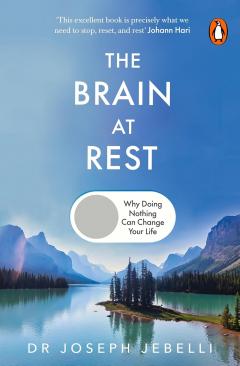 The Brain at Rest