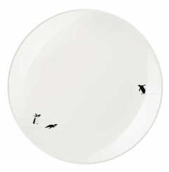 Farfurie desert - South Pole