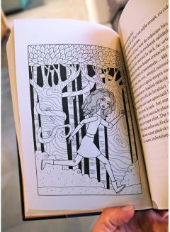 Olguta si Operatiunea Jaguarul