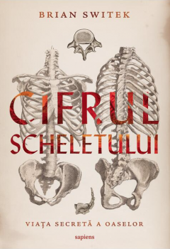 Cifrul scheletului