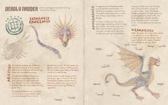 How to Train Your Dragon: Book of Dragons