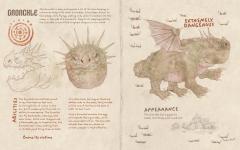 How to Train Your Dragon: Book of Dragons